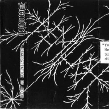 Regurgitation of Blood