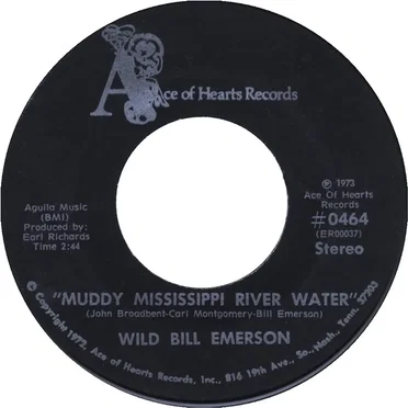 Muddy Mississippi River Water / Widow Julie