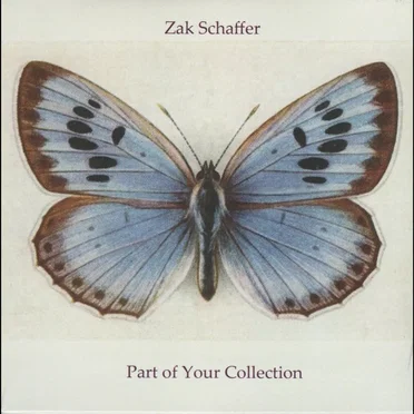 Part of Your Collection