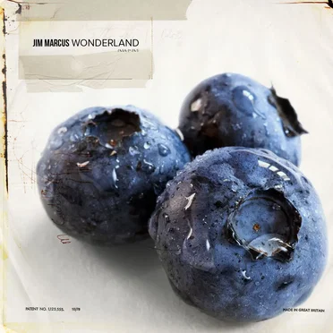 Wonderland by Jim Marcus - album cover