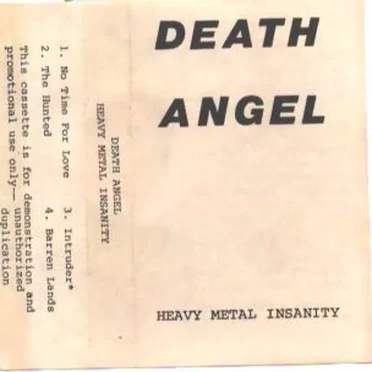 Heavy Metal Insanity