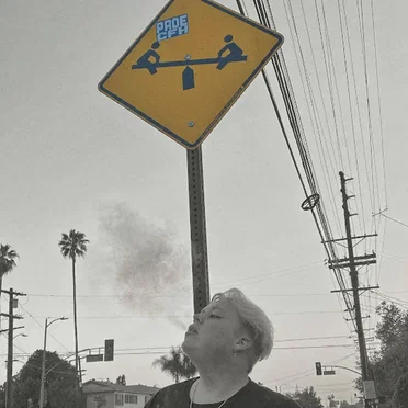 Playground by Noah Davis - album cover