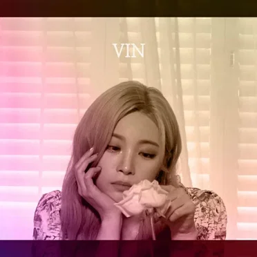The Nail by Vin - album cover