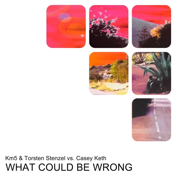 What Could Be Wrong