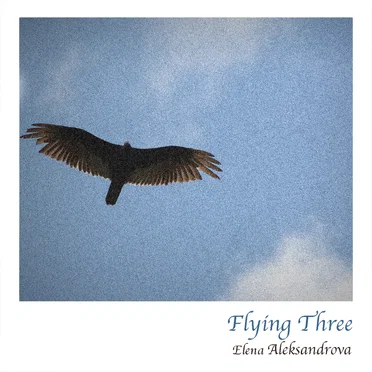 Flying 3