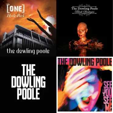 4 Track Sampler by The Dowling Poole - album cover