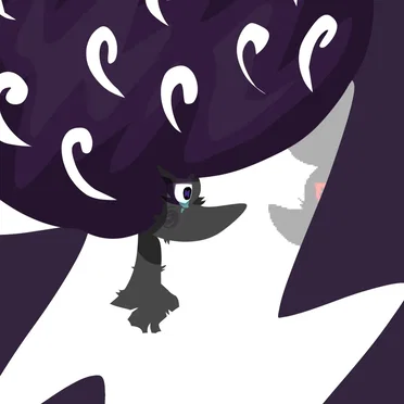 Inconsistent Reflections