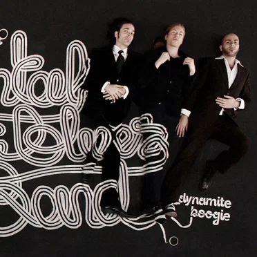 Dynamite Boogie by The Experimental Tropic Blues Band - album cover