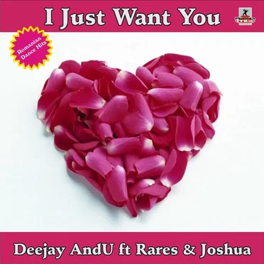 I Just Want You