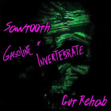 Gut Rehab