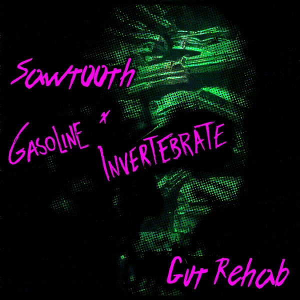 Gut Rehab
