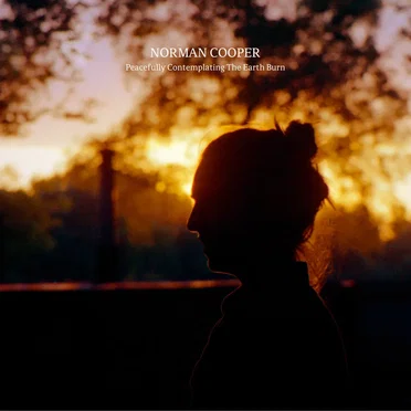 Peacefully Contemplating the Earth Burn by Norman Cooper - album cover
