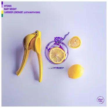 Lavender Lemonade (Justin Martin Remix)