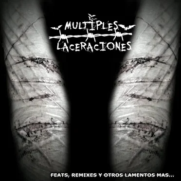 Feats, Remixes y Otros Lamentos Mas...