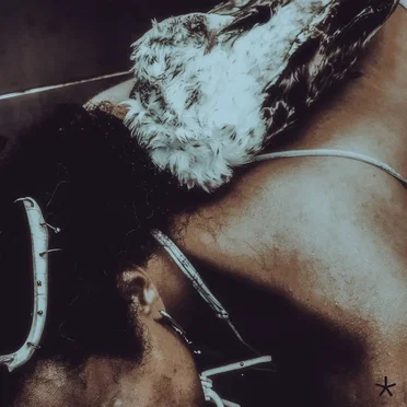Not a Dream but a Controlled Explosion by Iceboy Violet - album cover