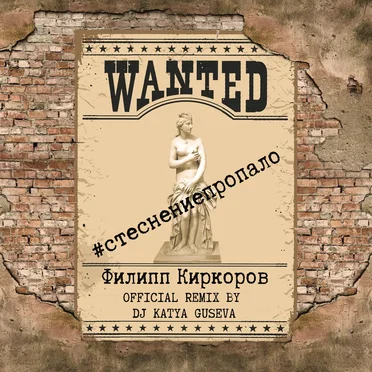 Стеснение пропало (DJ Katya Guseva remix)