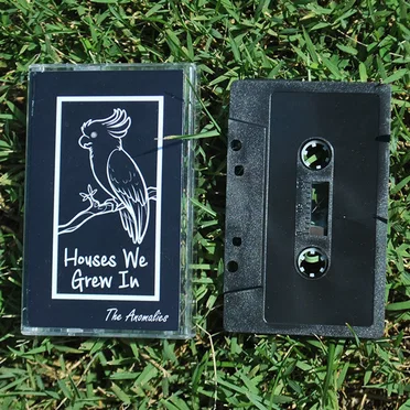Houses We Grew In by The Anomalies - album cover