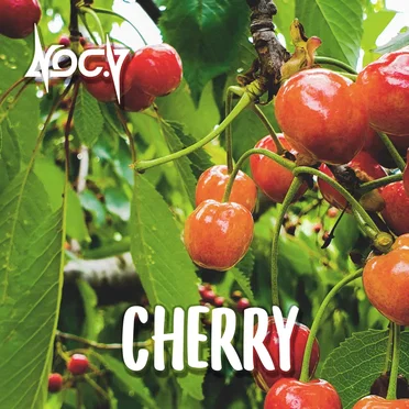 Cherry