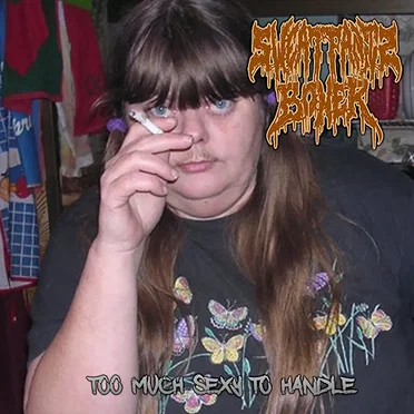 Too Much Sexy to Handle by Sweatpants Boner - album cover
