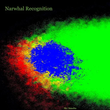 Narwhal Recognition