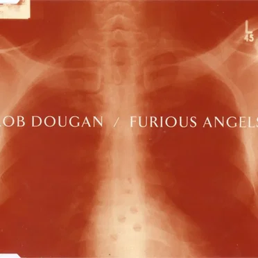 Furious Angels by Rob Dougan - album cover