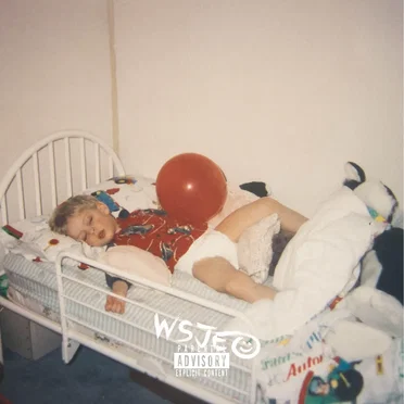 We Should Just Enjoy Ourselves by Cyrus - album cover