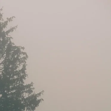 Something in the Air