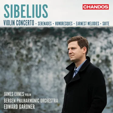 Violin Concerto / Serenades / Humoresques / Earnest Melodies / Suite