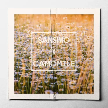 camomile by Sansimo - album cover