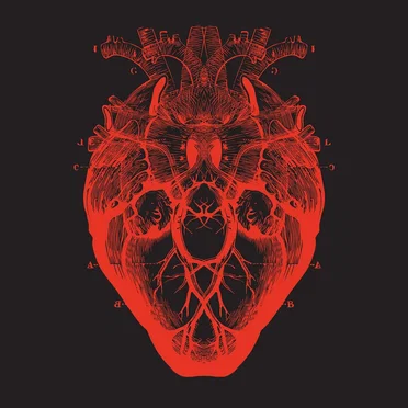 Bits & Pieces by BoomBox - album cover
