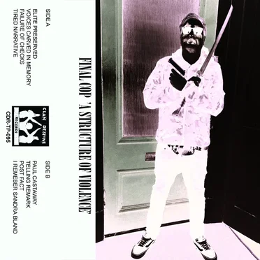 A Structure of Violence by Final Cop - album cover