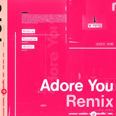 Adore You (HAAi remix)