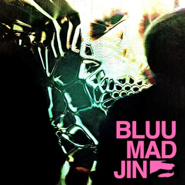 BLUUMADJIN by Bluume - album cover
