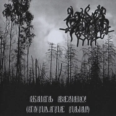 Туда, где дым! by Чёрные озёра - album cover