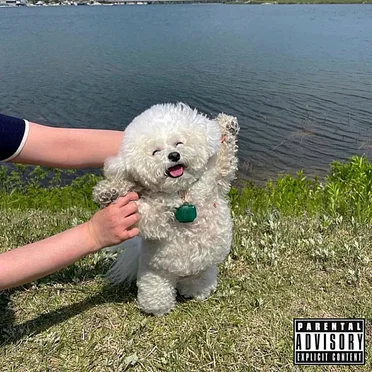 Good Men Die Like Dogs