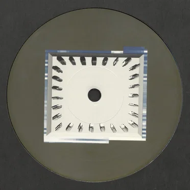 Variable / Plate