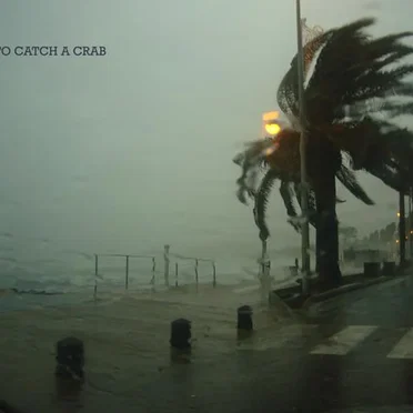 To Catch a Crab