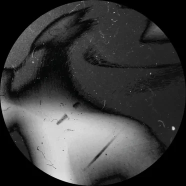 Ultraviolet EP