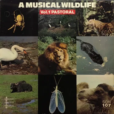 A Musical Wildlife Vol.1 Pastoral by Various Artists - album cover