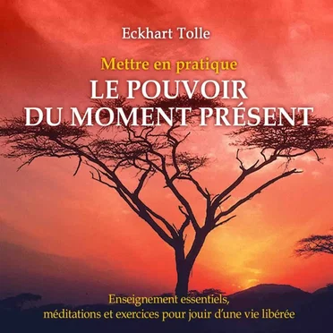 Mettre en pratique le pouvoir du moment présent by Eckhart Tolle - album cover