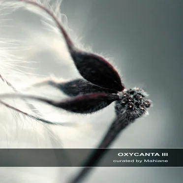 Oxycanta III by Various Artists - album cover