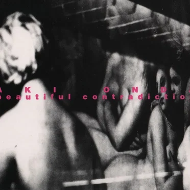 Beautiful Contradiction