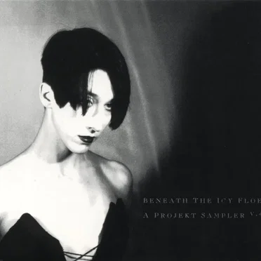 Beneath the Icy Floe, Volume 4 by Various Artists - album cover