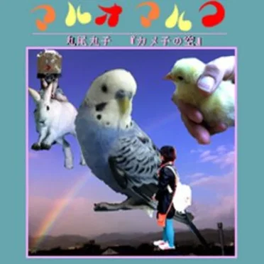 カメ子の空