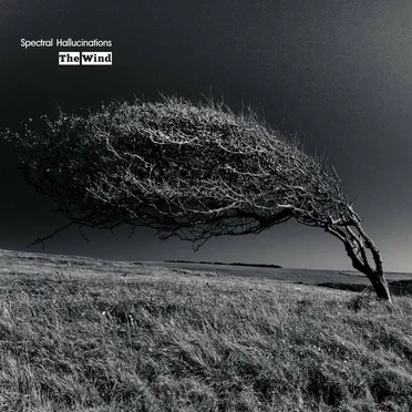 The Wind by Spectral Hallucinations - album cover