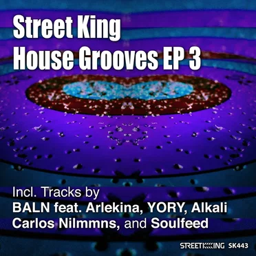 Street King House Grooves Vol. 3 by Various Artists - album cover