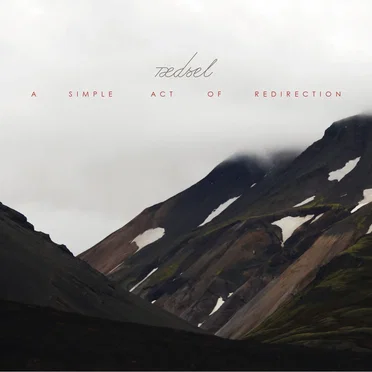 A Simple Act of Redirection by Rædsel - album cover