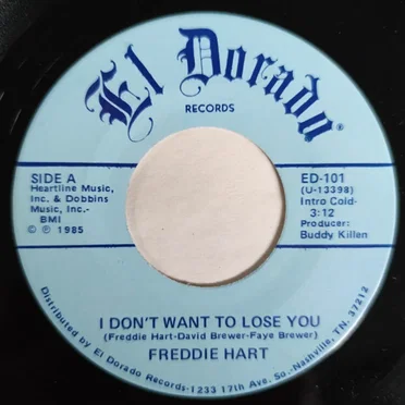 I Don’t Want to Lose You