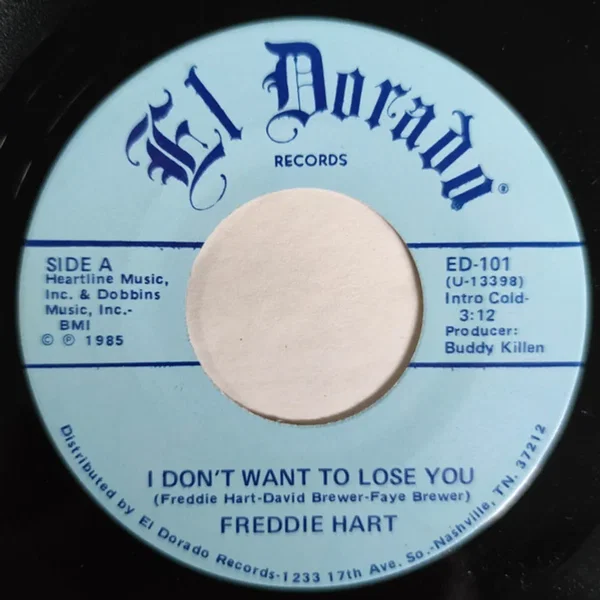 I Don’t Want to Lose You