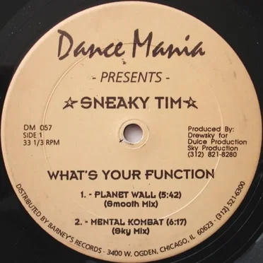 What's Your Function by Sneaky Tim - album cover